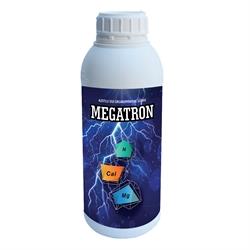 megatron