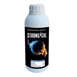 strong-cal