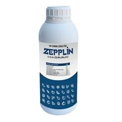 zepplin